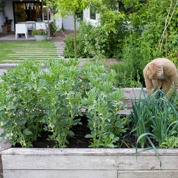 Urban vegetable garden in the polder