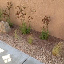 Landscape Ideas