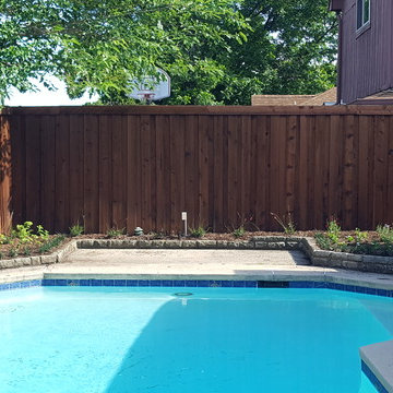 Front Yard Clean-up + Sunny Backyard Design