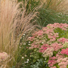 Jardins