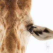 Jennifer Relyea's photo