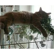 Sharry Willoughby's photo