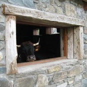 Valentina Parodi's photo