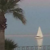 Foto de Bill Molnar