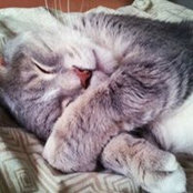 Alexis Berbas's photo