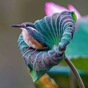 Myrna Hamm's photo