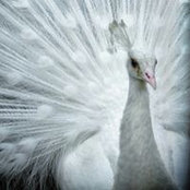 Foto de Anna Ray
