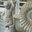 Cynthia Designs Patios & Gardens