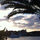 webuser_338374