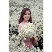 Dương Bốngさんの写真