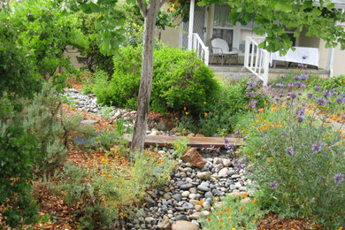 Vibrant Native Garden with Dry Creek