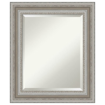 Parlor Silver Beveled Bathroom Wall Mirror - 21.5 x 25.5 in.