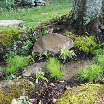 Cottage Woodland Garden