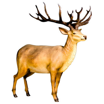 6' Life Like Red Stag
