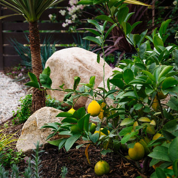 Sustainable and Maintainable in Santa Monica, CA