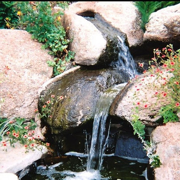 Koi Pond & Spaces
