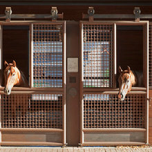 Stall Fronts