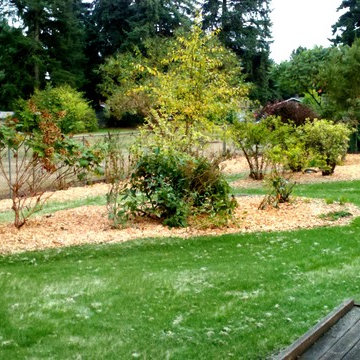 LANDSCAPE MAKEOVER: JUNGLE TO PARADISE