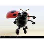 Mary Thrasher's photo