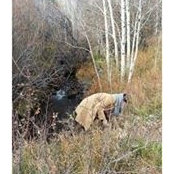 Miller Robinson's photo