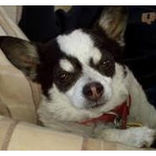 Patty Reddick's photo