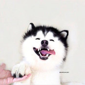 Xiao Jie Tang's photo