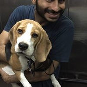 Photo de Manu Vohra