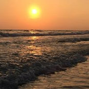 Lori Rader-Howard's photo