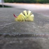 Foto von Inacio Huber