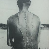 Paul Wards foto