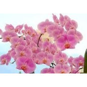 Kimberley Wells's photo