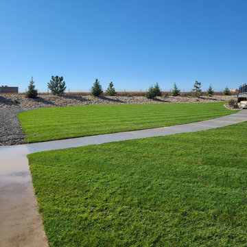 Landscaping Renovation (Berm, Irrigation System, Sod, Trees, Hardscaping)