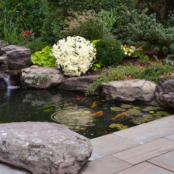Koi Pond and Patio