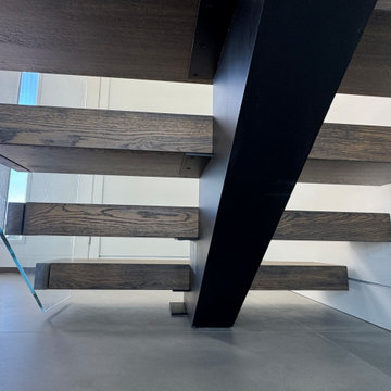 Steel and Glass Design- Tortoise Island