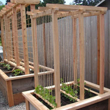 Patio Ideas