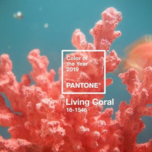 2019 Pantone Color of the Year