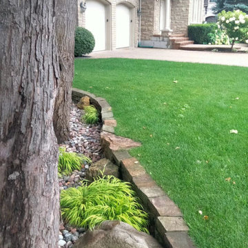 Front & Back yards landscaping