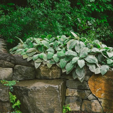 Audubon Certified Backyard Habitat