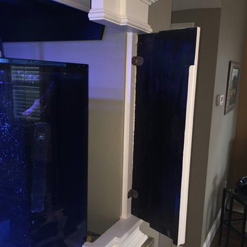 Aquarium Surround