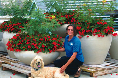 DFW Planter
