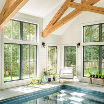 Indoor Oasis