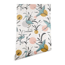 canvasbackrd