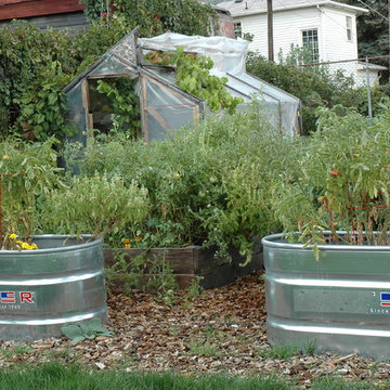 Italianate Style B Street Water Wise & Vegetable Garden