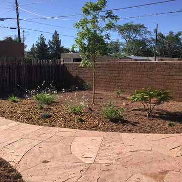 Starr-Lesser Backyard