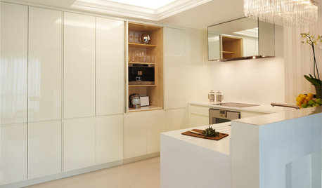 Houzz Tour: A Sleek and Contemporary Apartment in West London