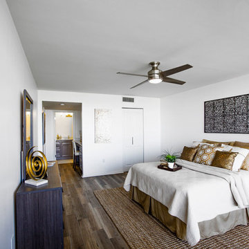 Gulf Condo, Treasure Island