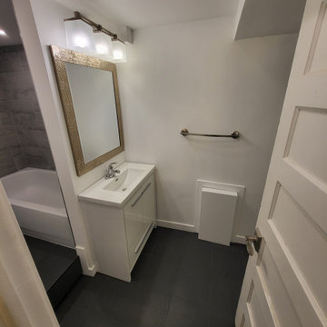 Erskine Basement/Bathroom Reno