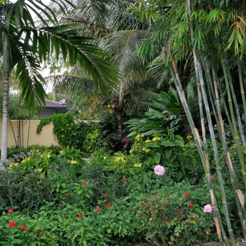 Tropical Design