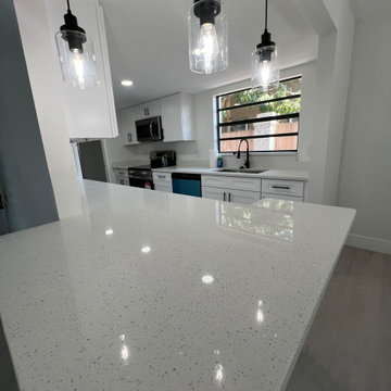 Complete Home Remodel - Safety Harbor