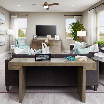 Moonstone model home in Florida